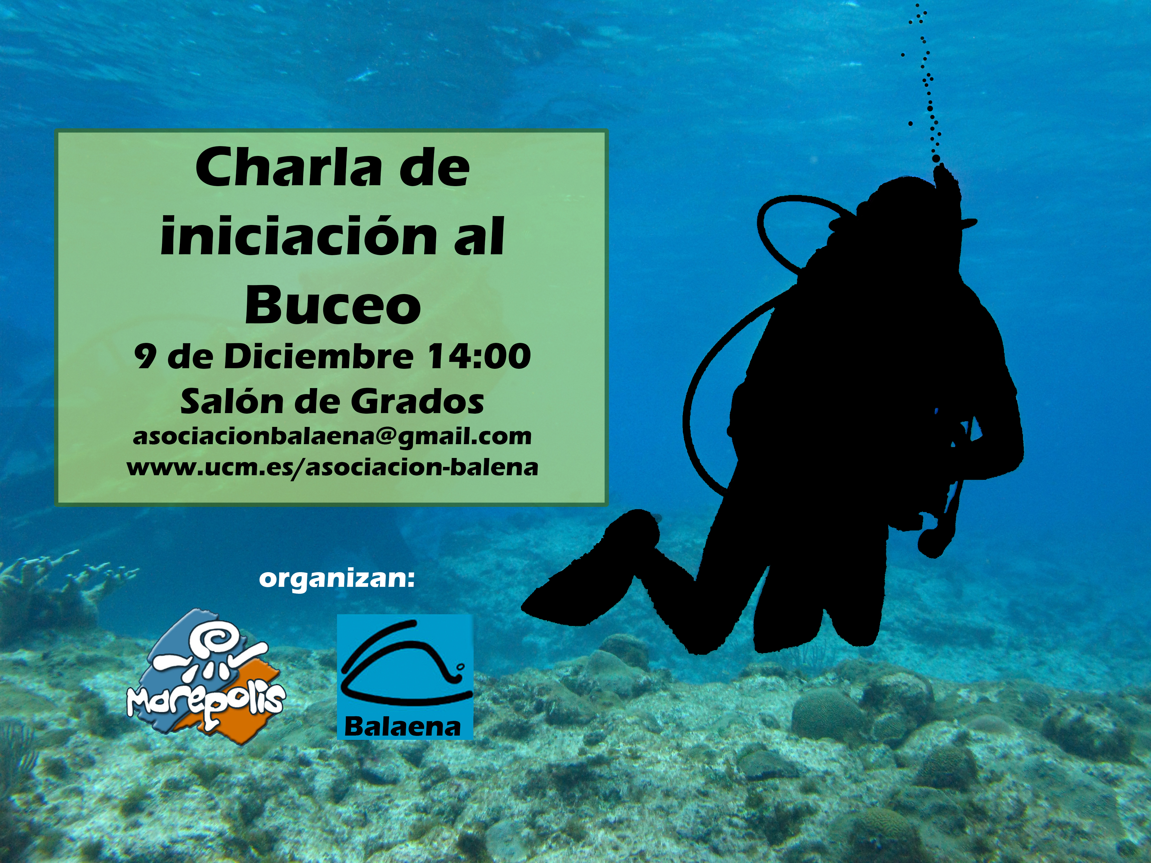 Charla de iniciación al buceo